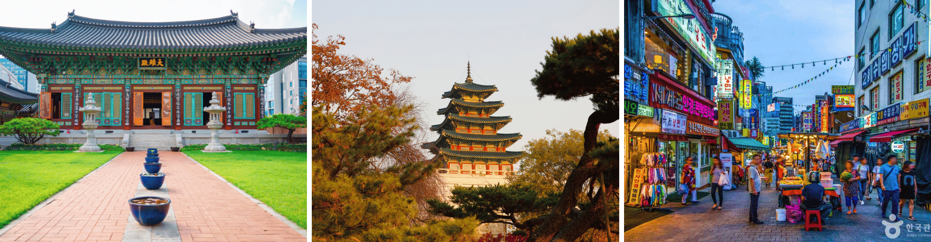 STC Day 2 Traditional architecture and vibrant street life